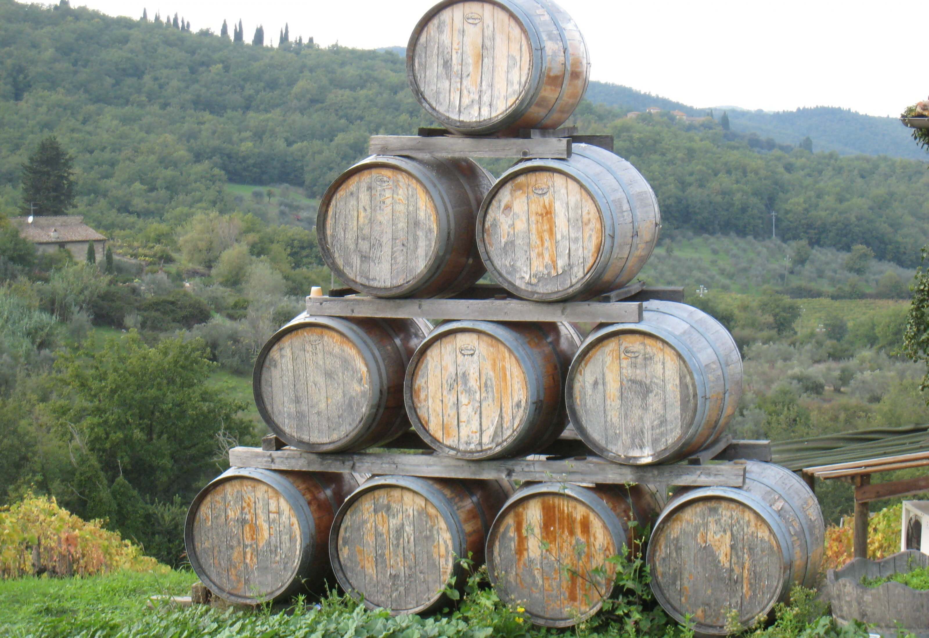 Chianti Authentic Experience with Oil & Wine Tasting