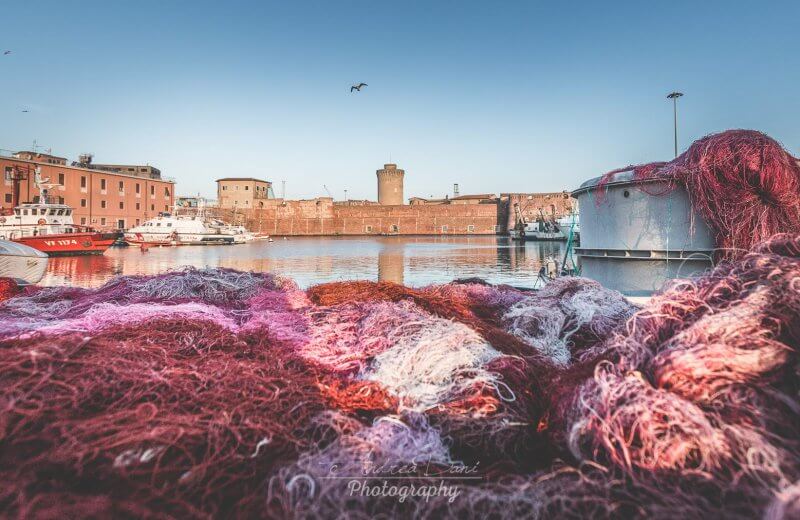 Livorno Boat & Market Tour