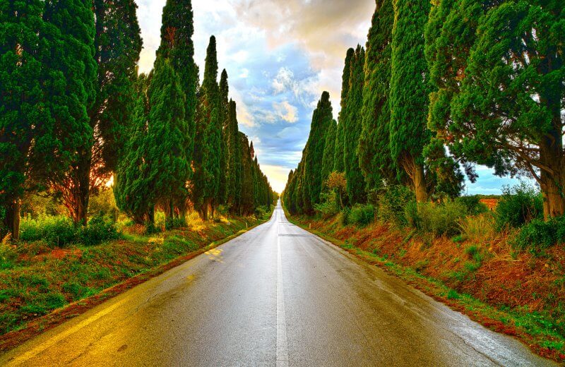 Castagneto & Bolgheri Wine Tour